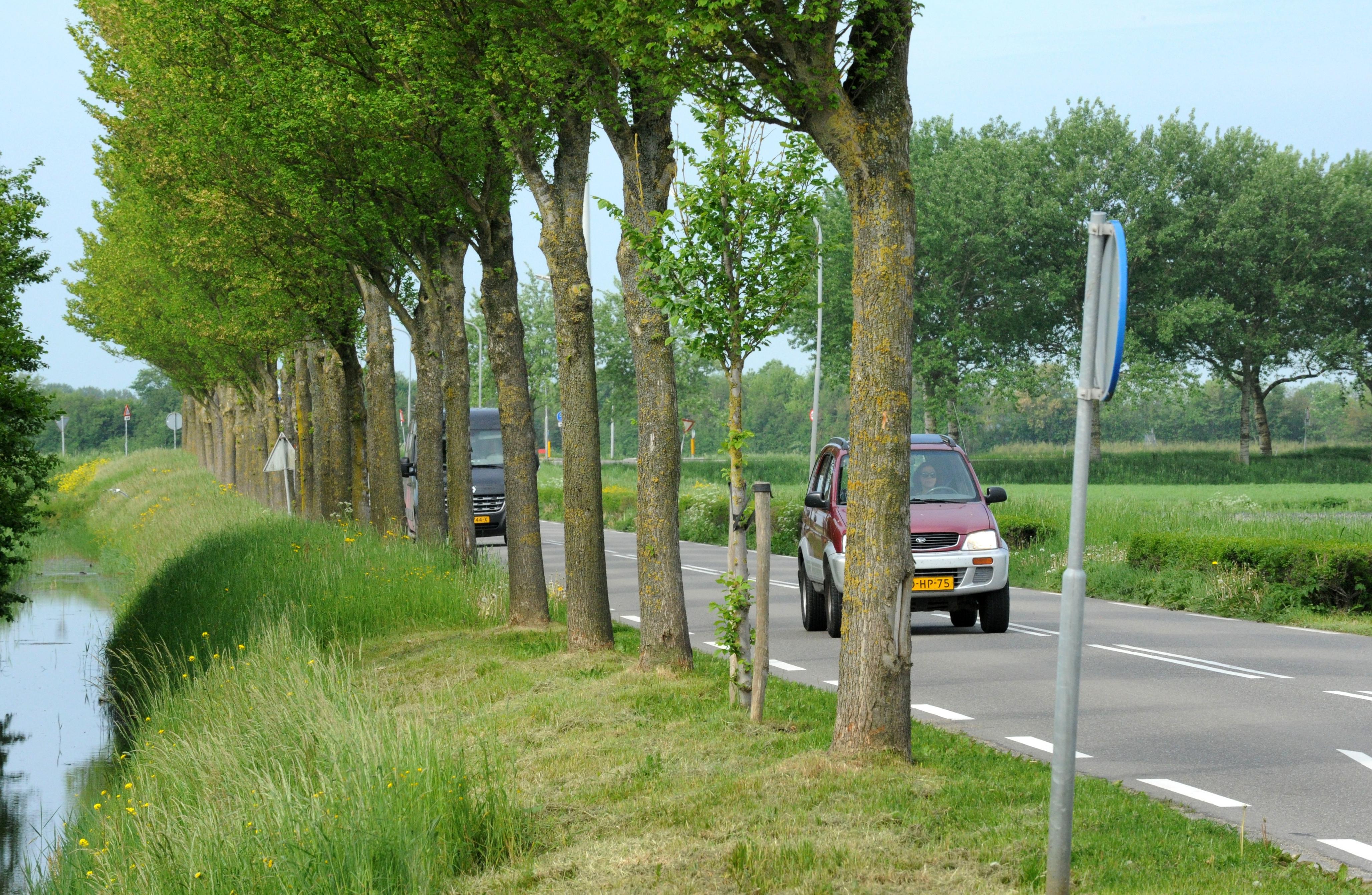 Op de kruising Speketersweg/Woudmeerweg bij Dirkshorn gebeuren veel zware ongelukken. Nu komt er ein